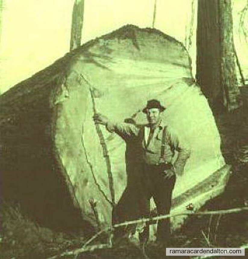 Photo of the day 1920 - Photo of the day