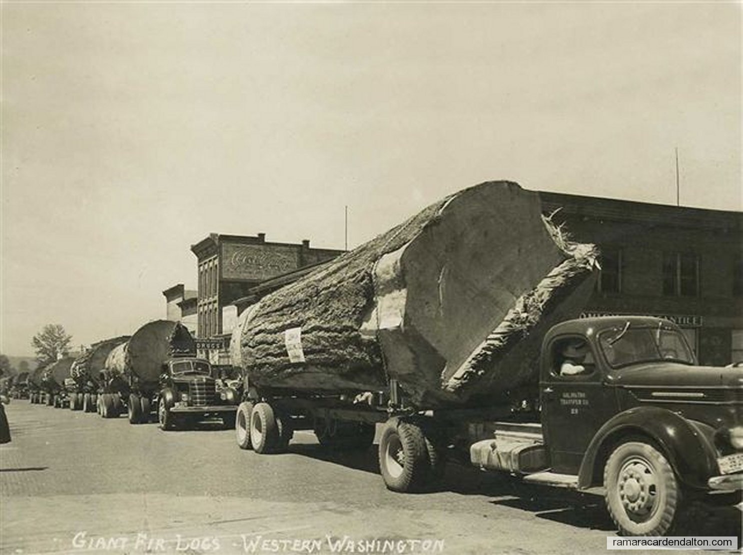 Photo of the day 1921 - Photo of the day