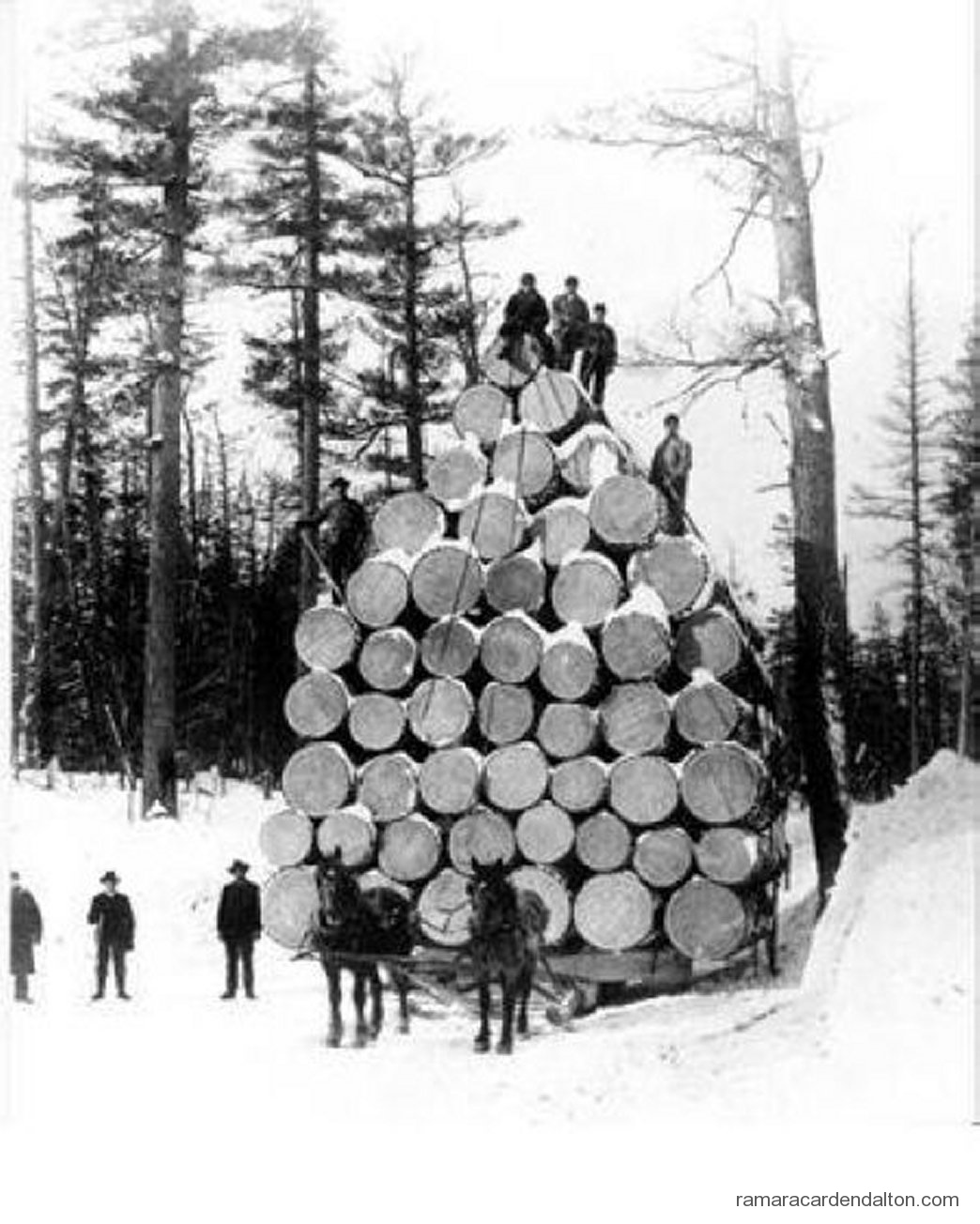 Photo of the day 1922 - Photo of the day