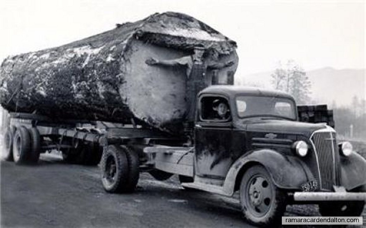 Photo of the day 1923 - Photo of the day