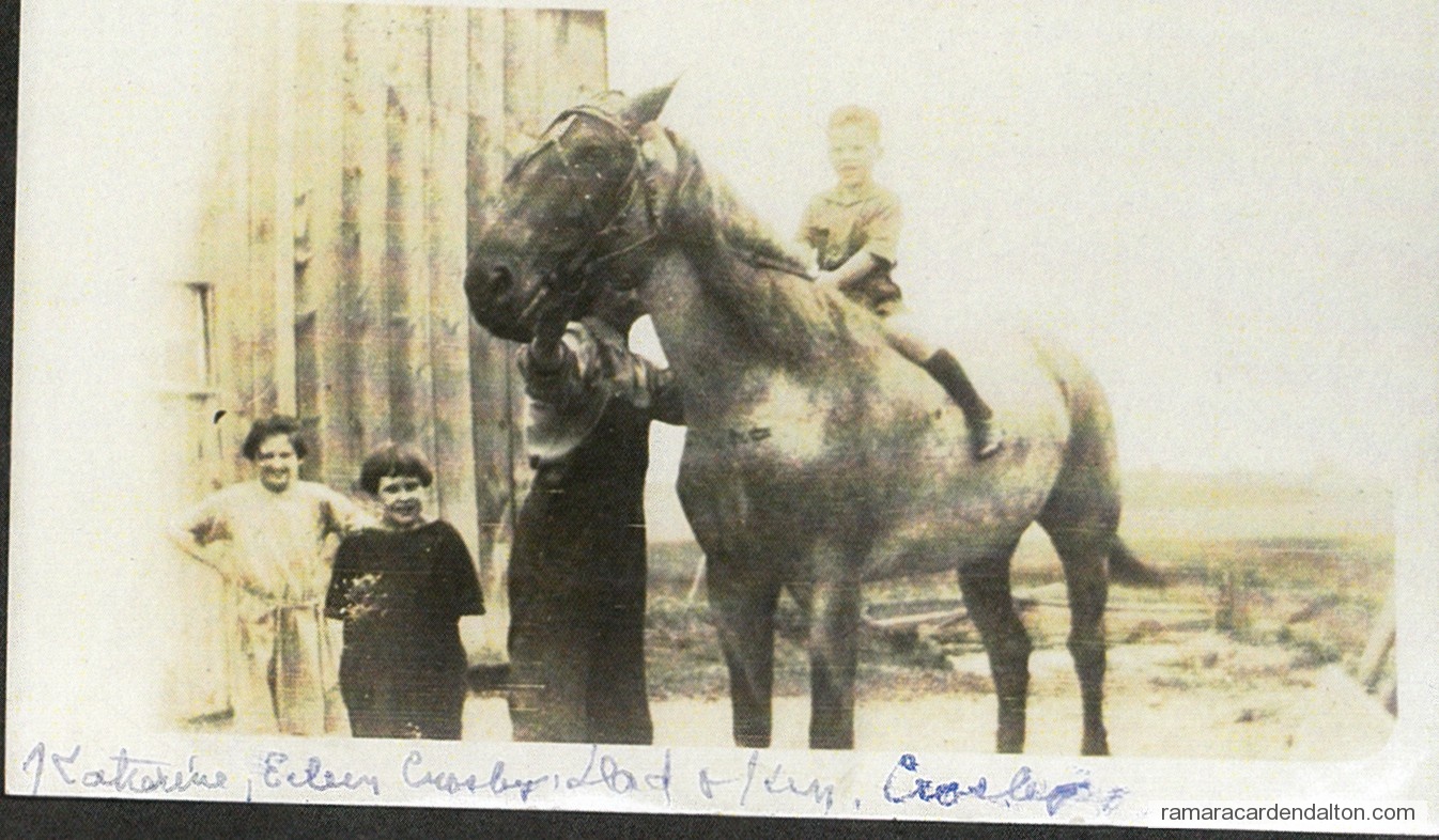 Photo of the day 2000 - Photo of the day