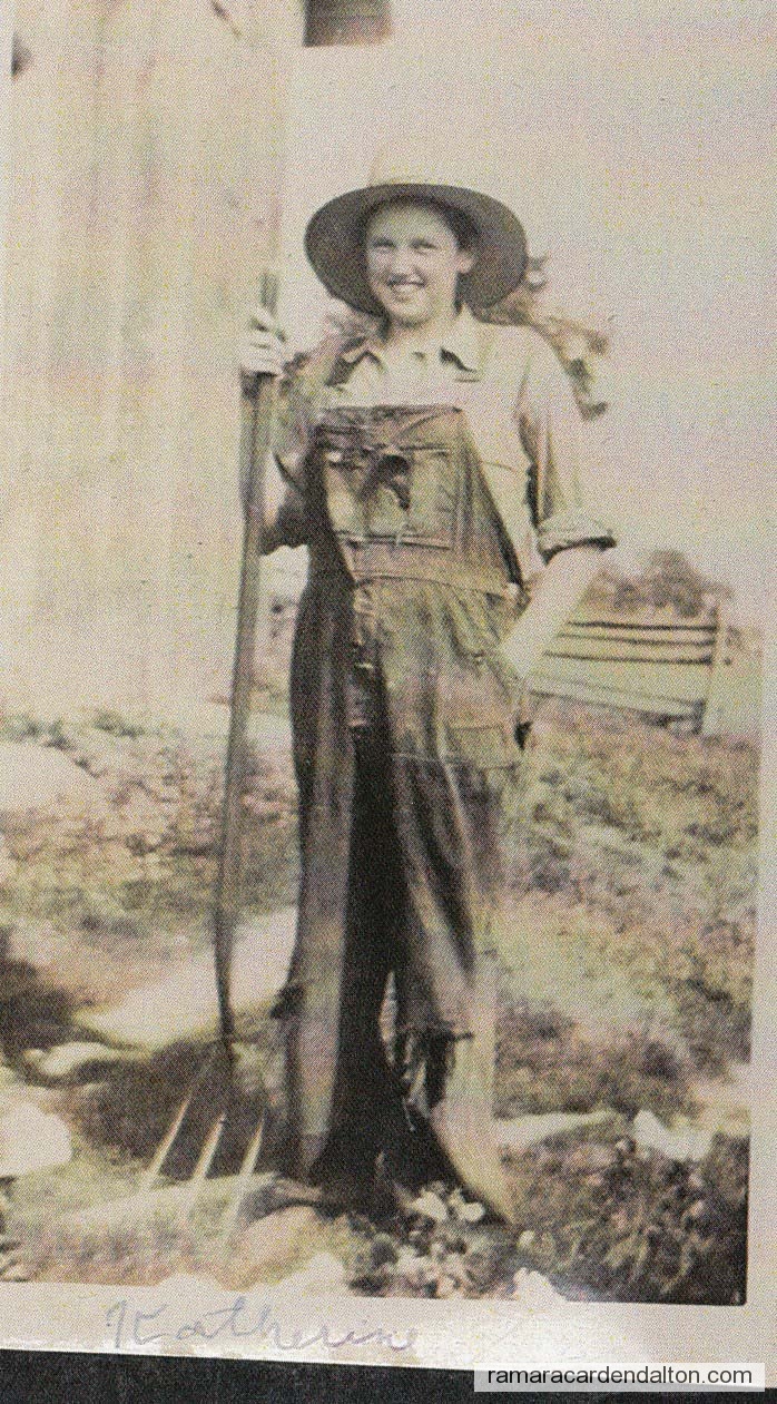 Photo of the day 2003 - Photo of the day