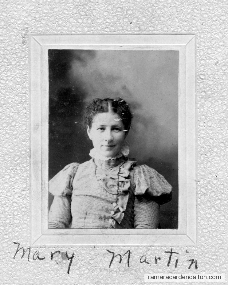 Photo of the day 2012 - Photo of the day