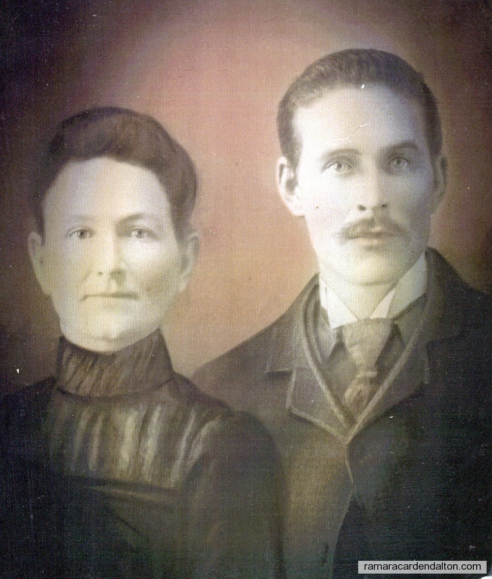 Photo of the day 2019 - Photo of the day