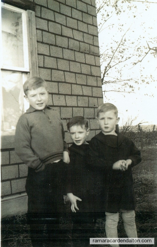 Photo of the day 2024 - Photo of the day