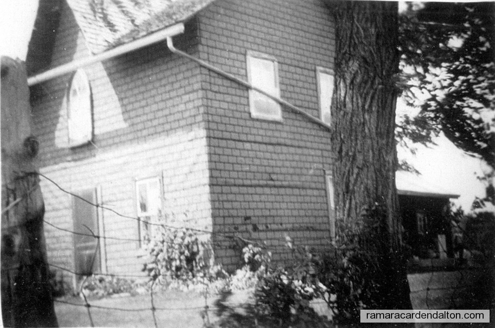 Photo of the day 2031 - Photo of the day