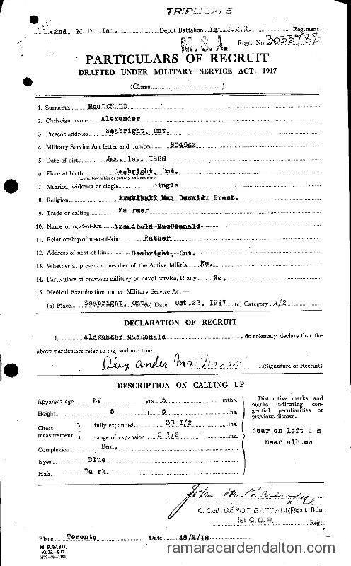 Photo of the day 206 - Photo of the day