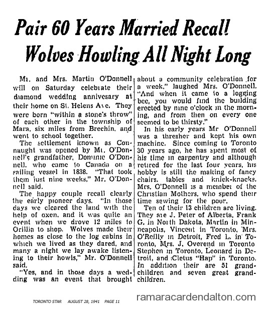 Photo of the day 2077 - Photo of the day