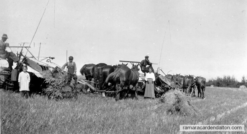 Photo of the day 2119 - Photo of the day