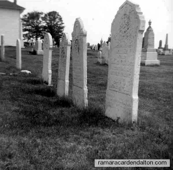 Photo of the day 2187 - Photo of the day