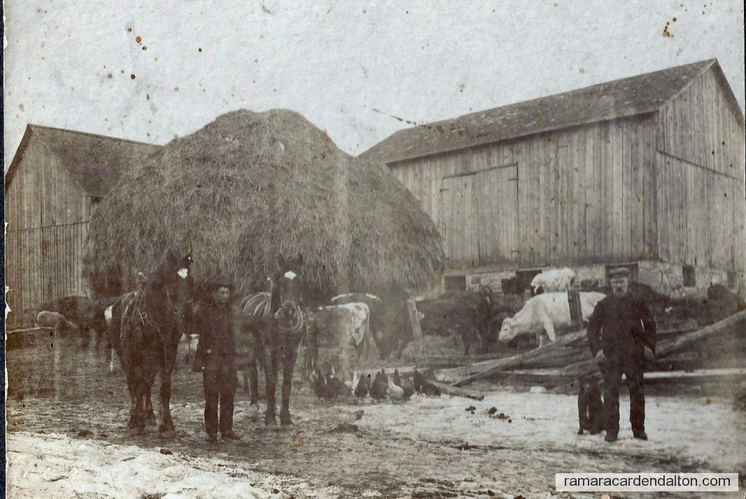 Photo of the day 2189 - Photo of the day