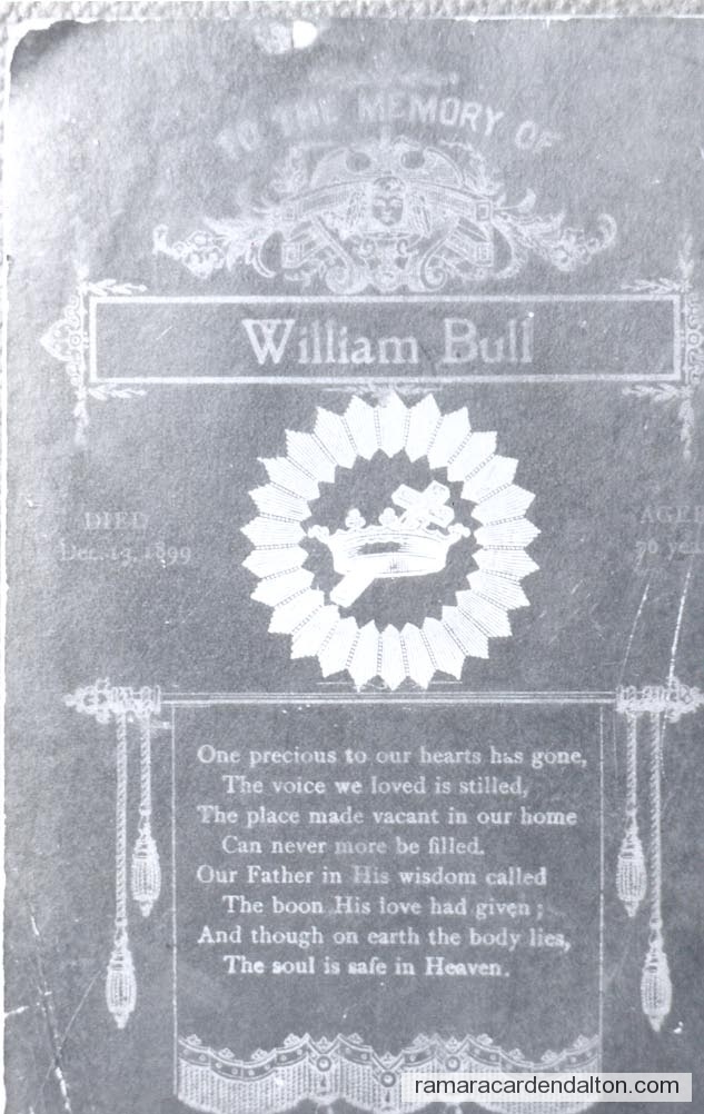 Photo of the day 2205 - Photo of the day