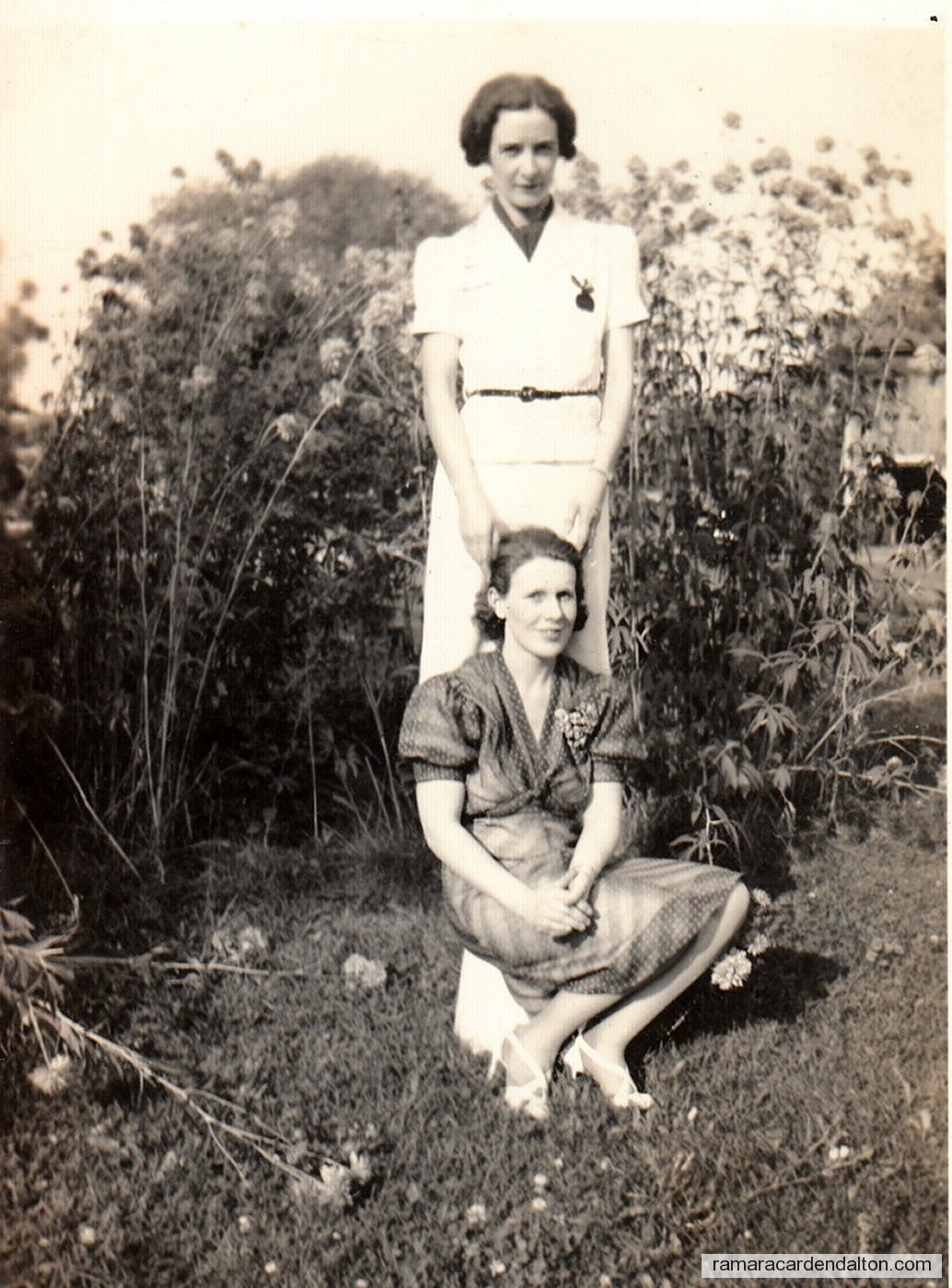 Photo of the day 2253 - Photo of the day