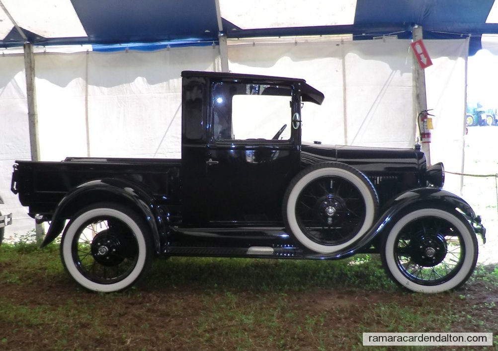 Photo of the day 2302 - Photo of the day