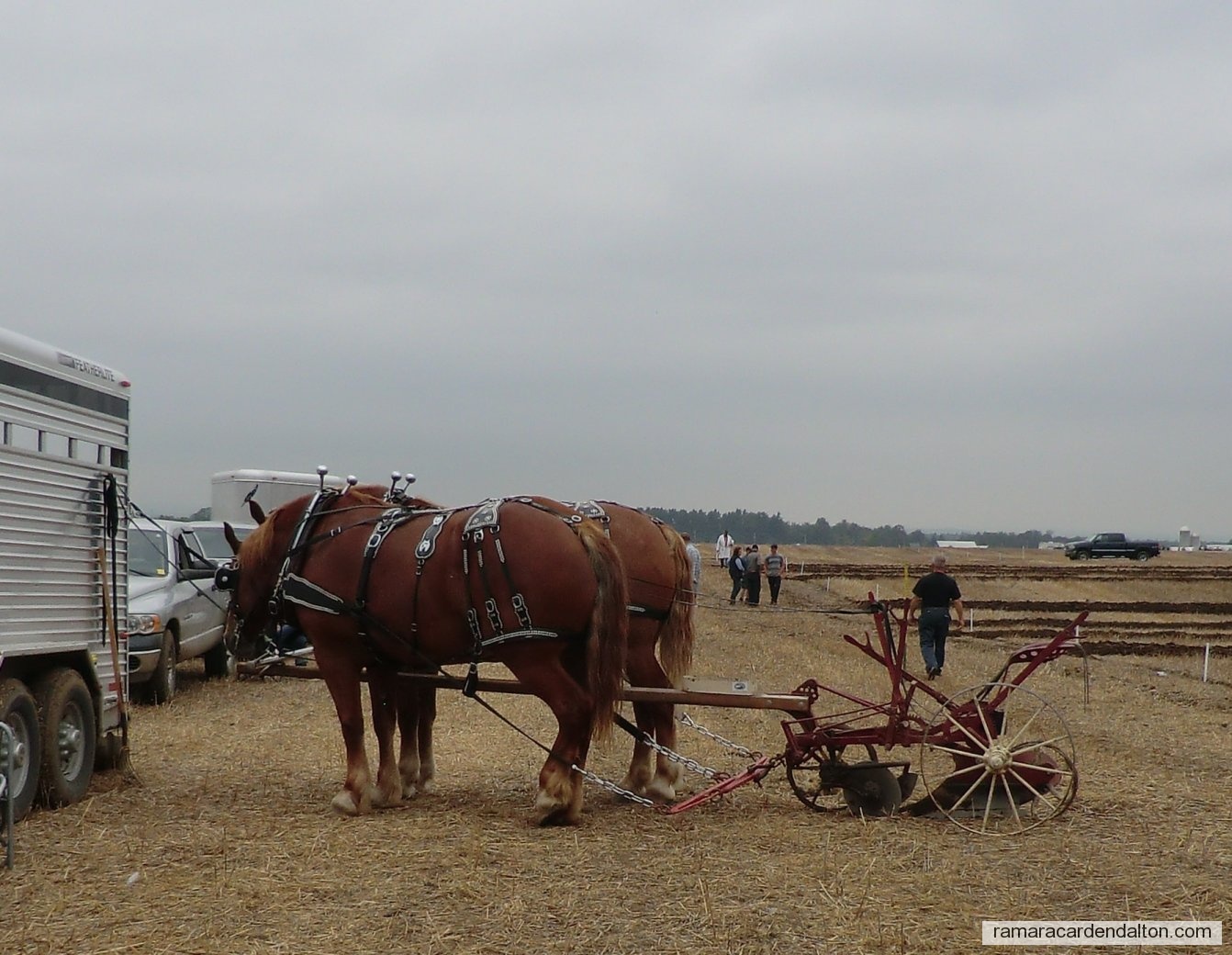 Photo of the day 2313 - Photo of the day
