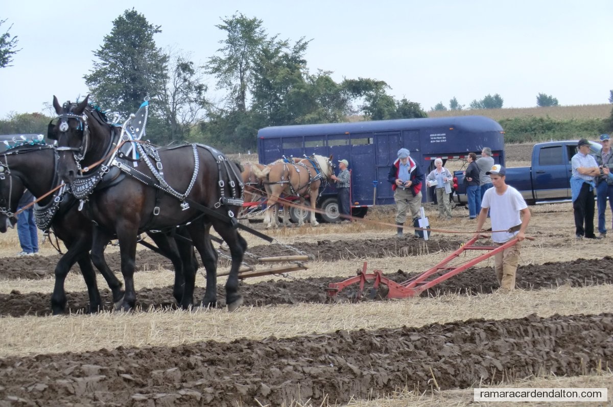 Photo of the day 2314 - Photo of the day