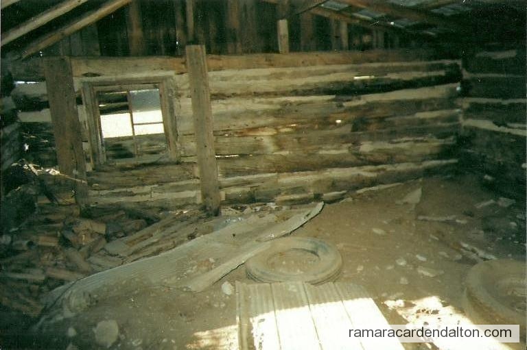 Photo of the day 2317 - Photo of the day