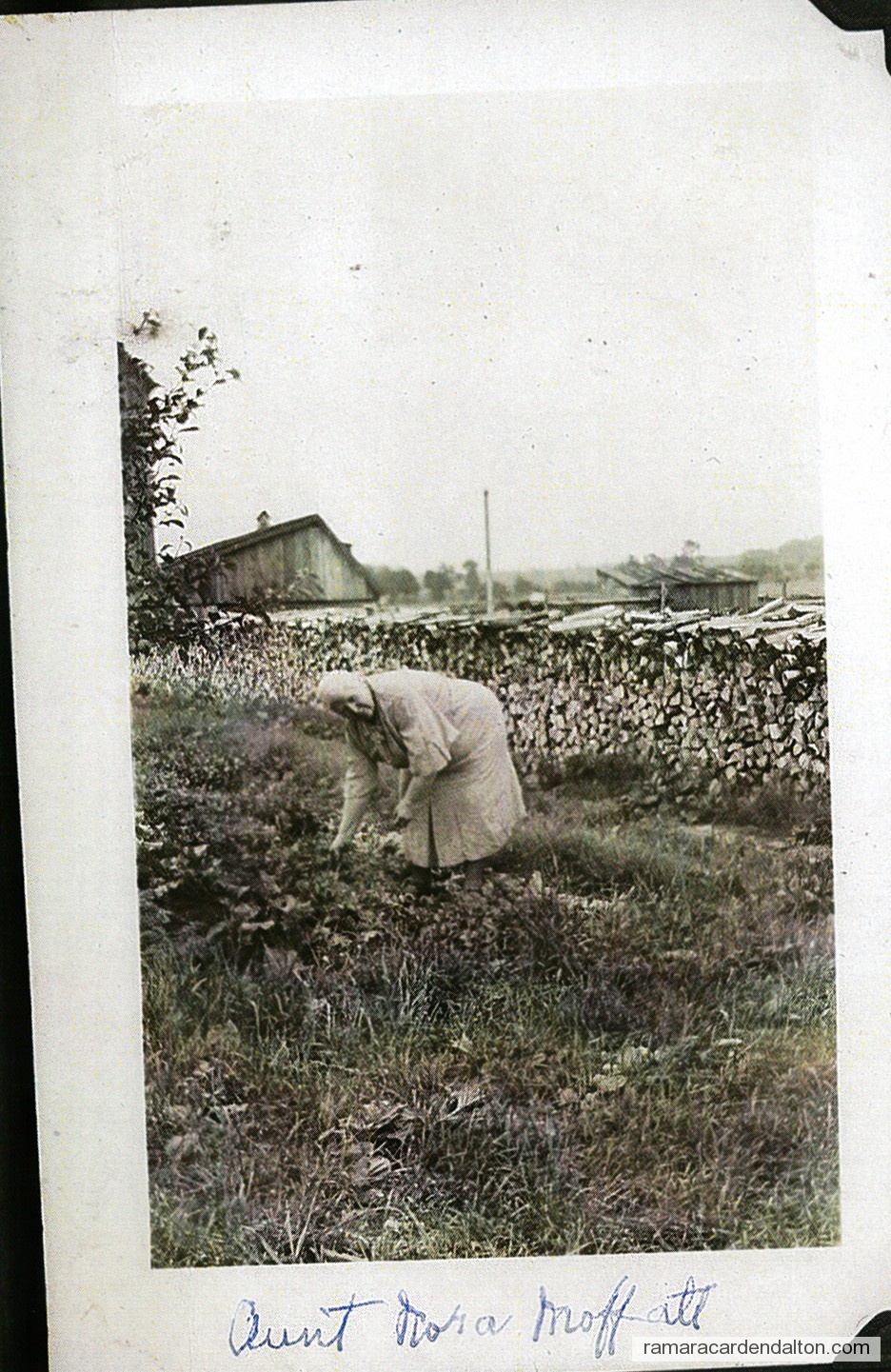 Photo of the day 2352 - Photo of the day