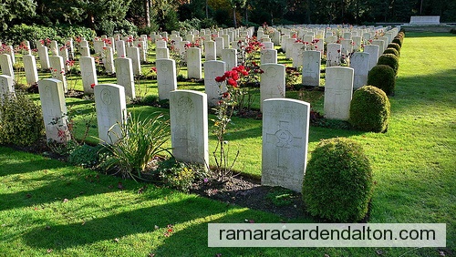 Photo of the day 2379 - Photo of the day