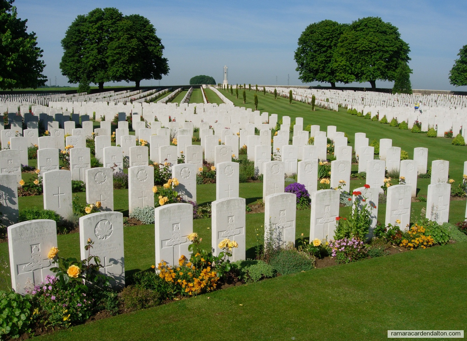 Photo of the day 2412 - Photo of the day