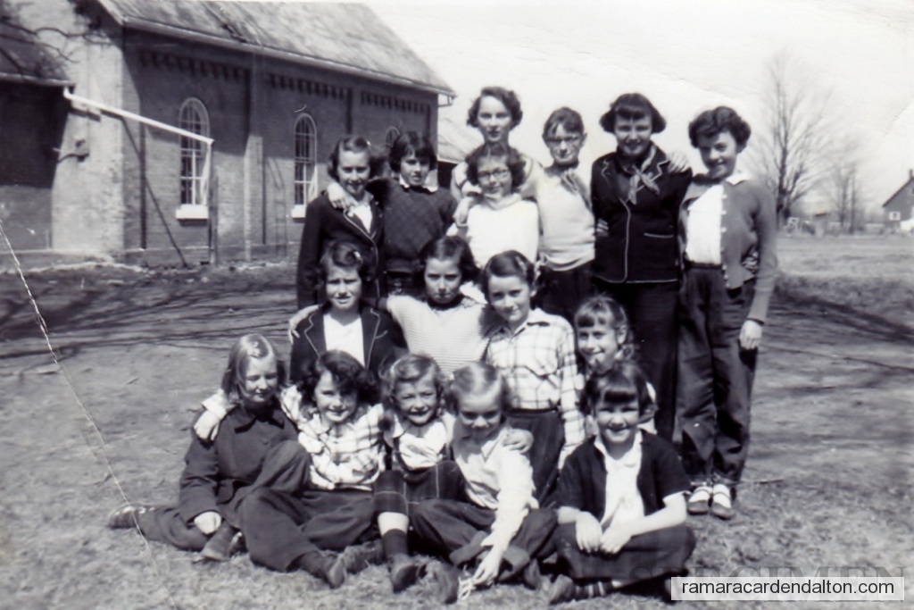 Photo of the day 243 - Photo of the day