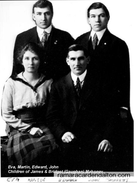 Photo of the day 2437 - Photo of the day