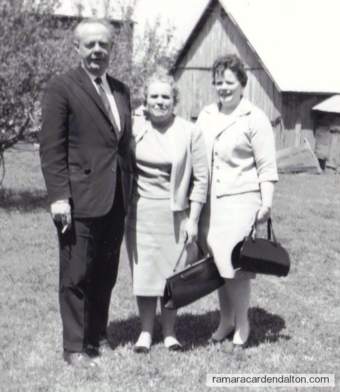 Photo of the day 2454 - Photo of the day