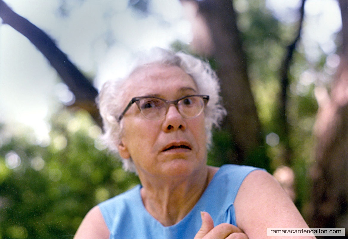 Photo of the day 2459 - Photo of the day