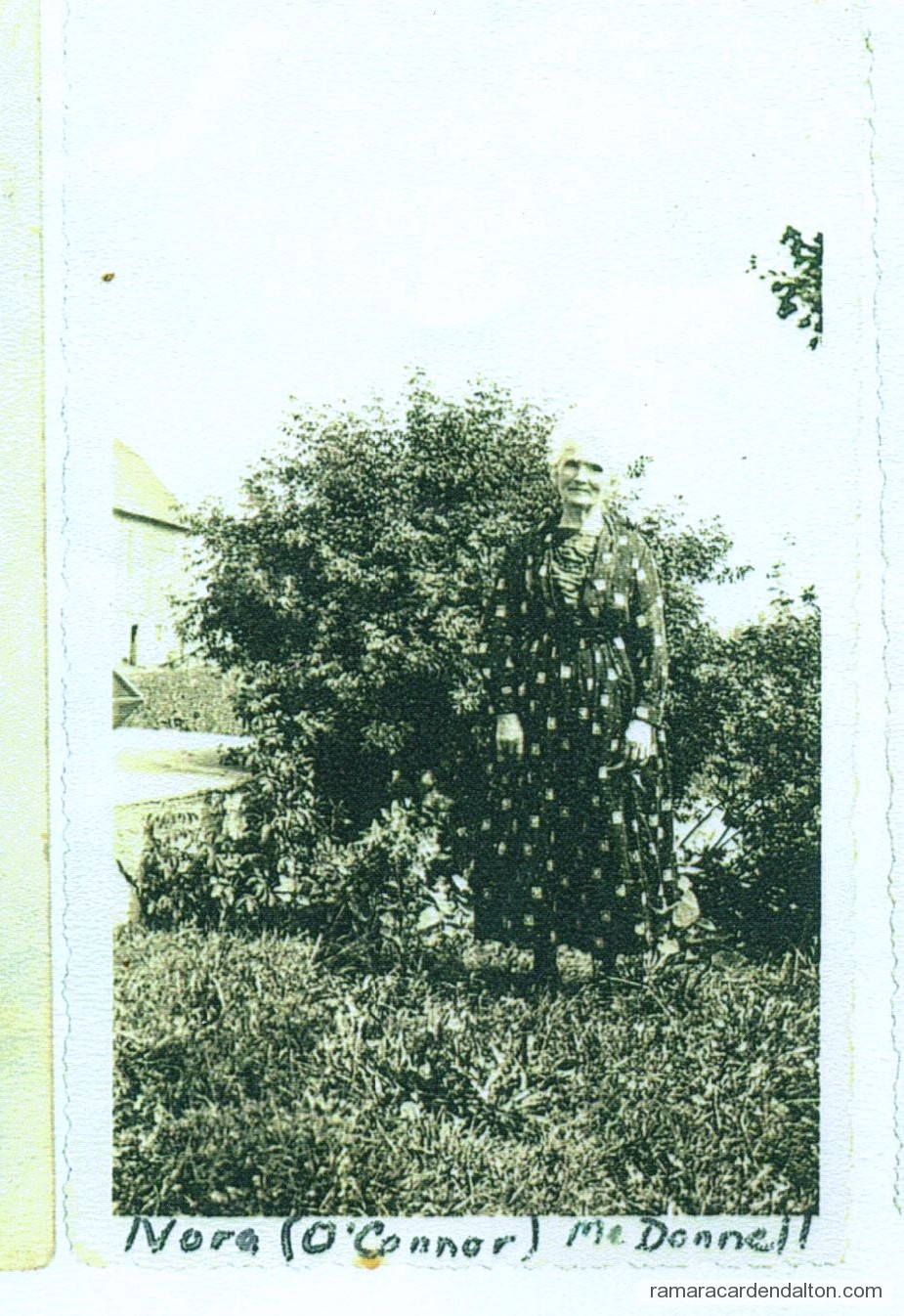 Photo of the day 2467 - Photo of the day