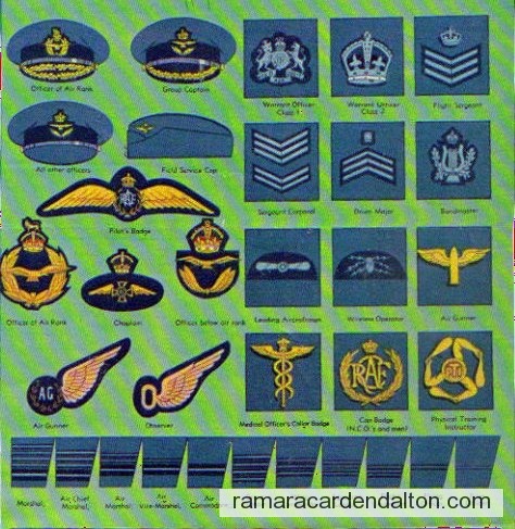 Photo of the day 247 - Photo of the day