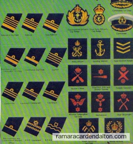 Photo of the day 248 - Photo of the day