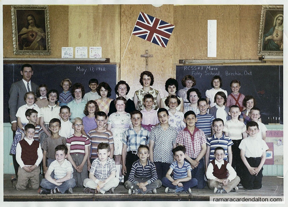 Photo of the day 2506 - Photo of the day