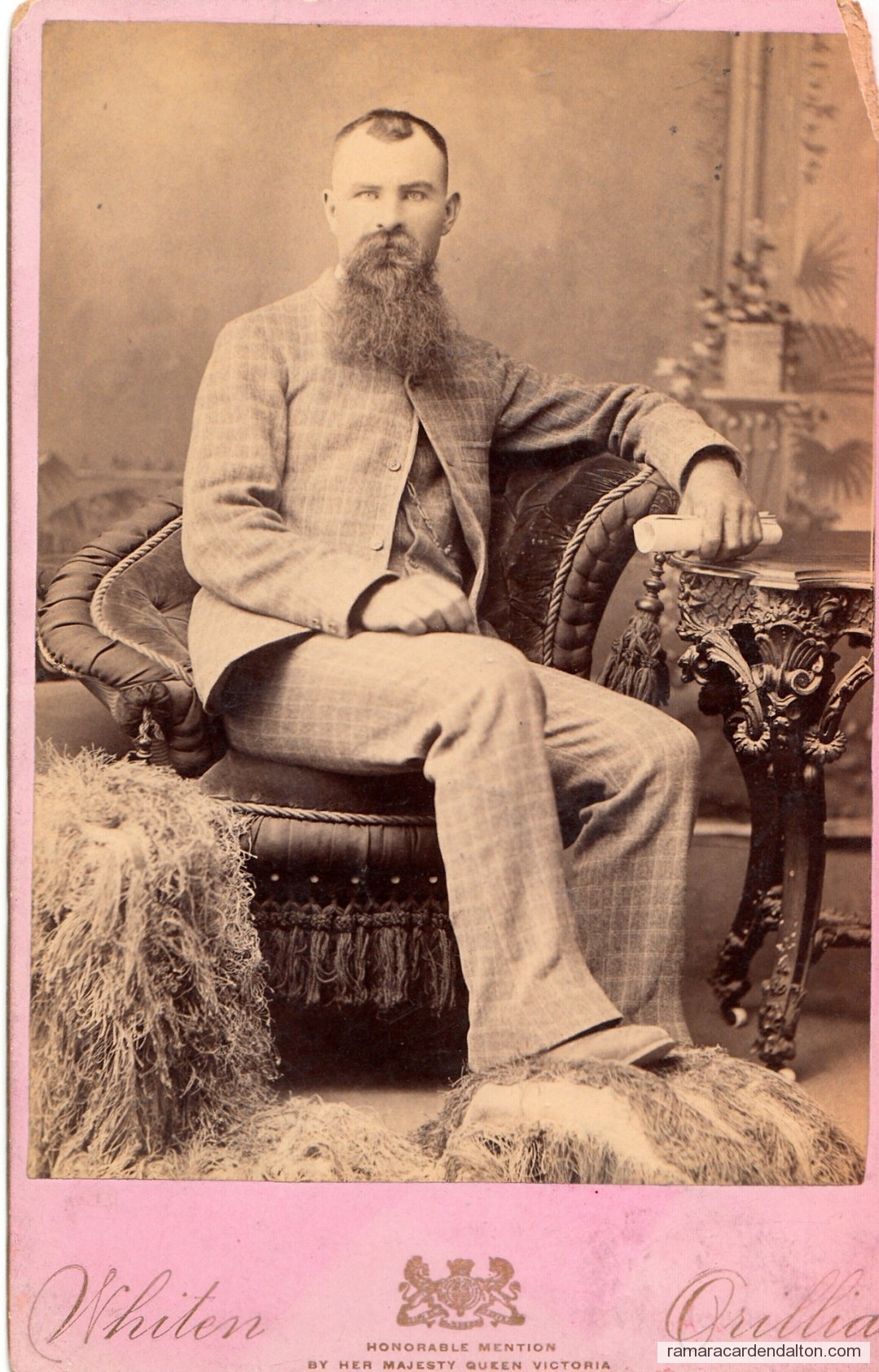 Photo of the day 2532 - Photo of the day