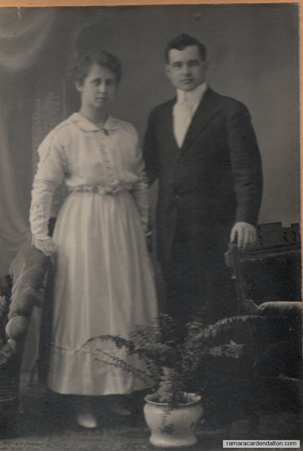 Photo of the day 2536 - Photo of the day