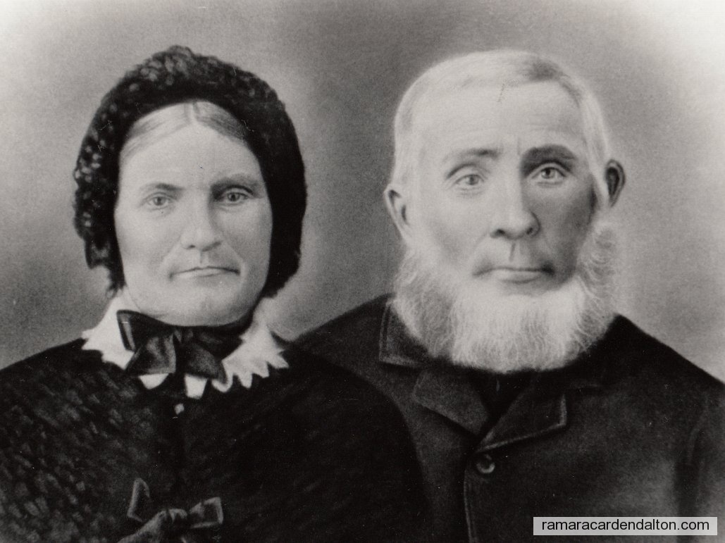 Photo of the day 2547 - Photo of the day