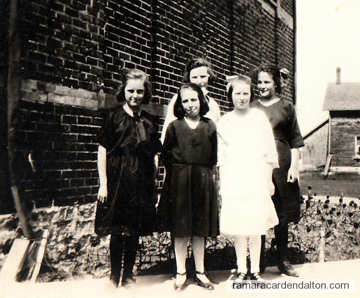 Photo of the day 2553 - Photo of the day