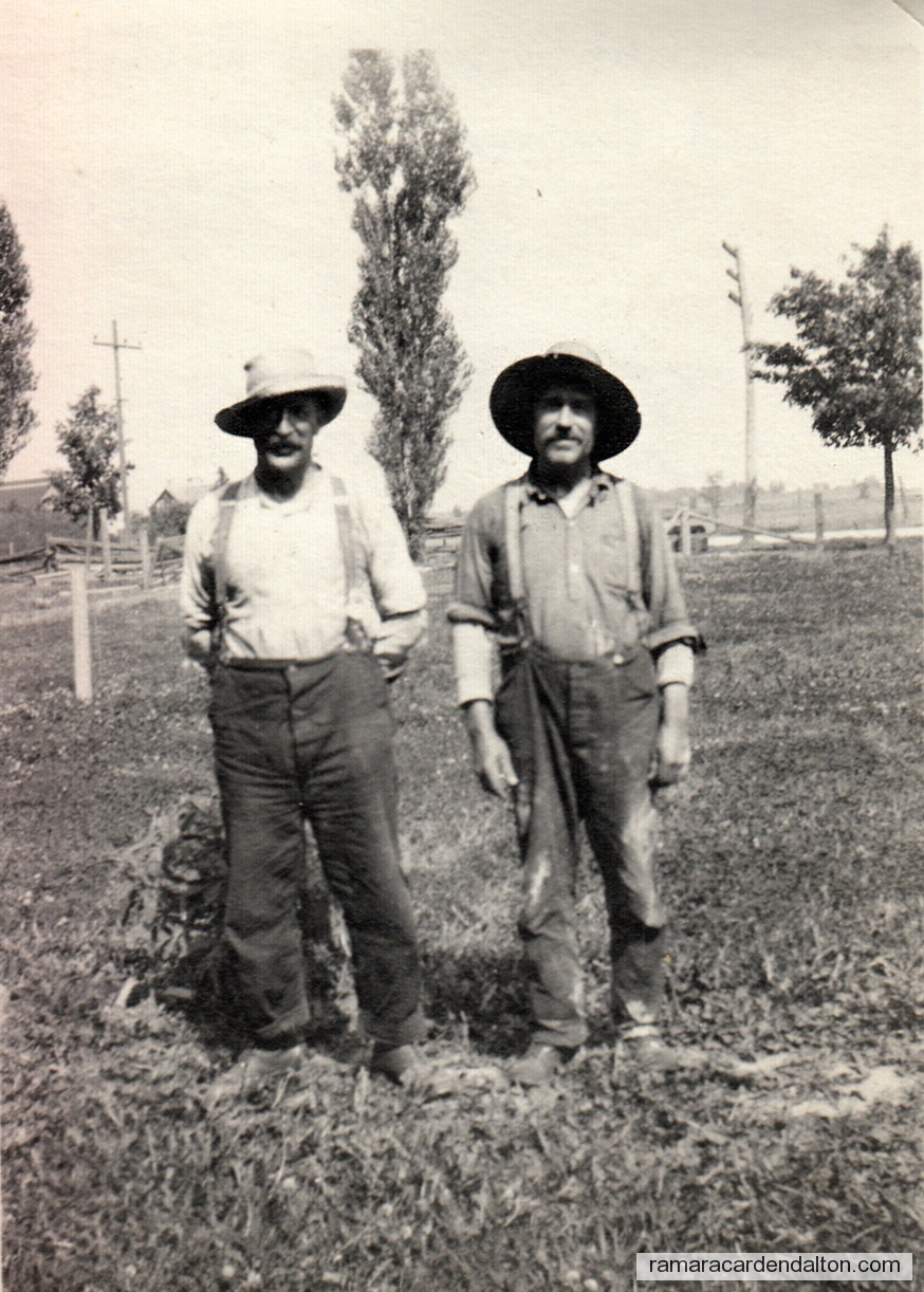 Photo of the day 2556 - Photo of the day