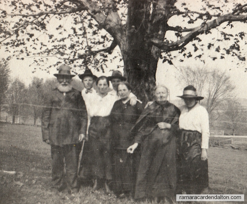 Photo of the day 2557 - Photo of the day