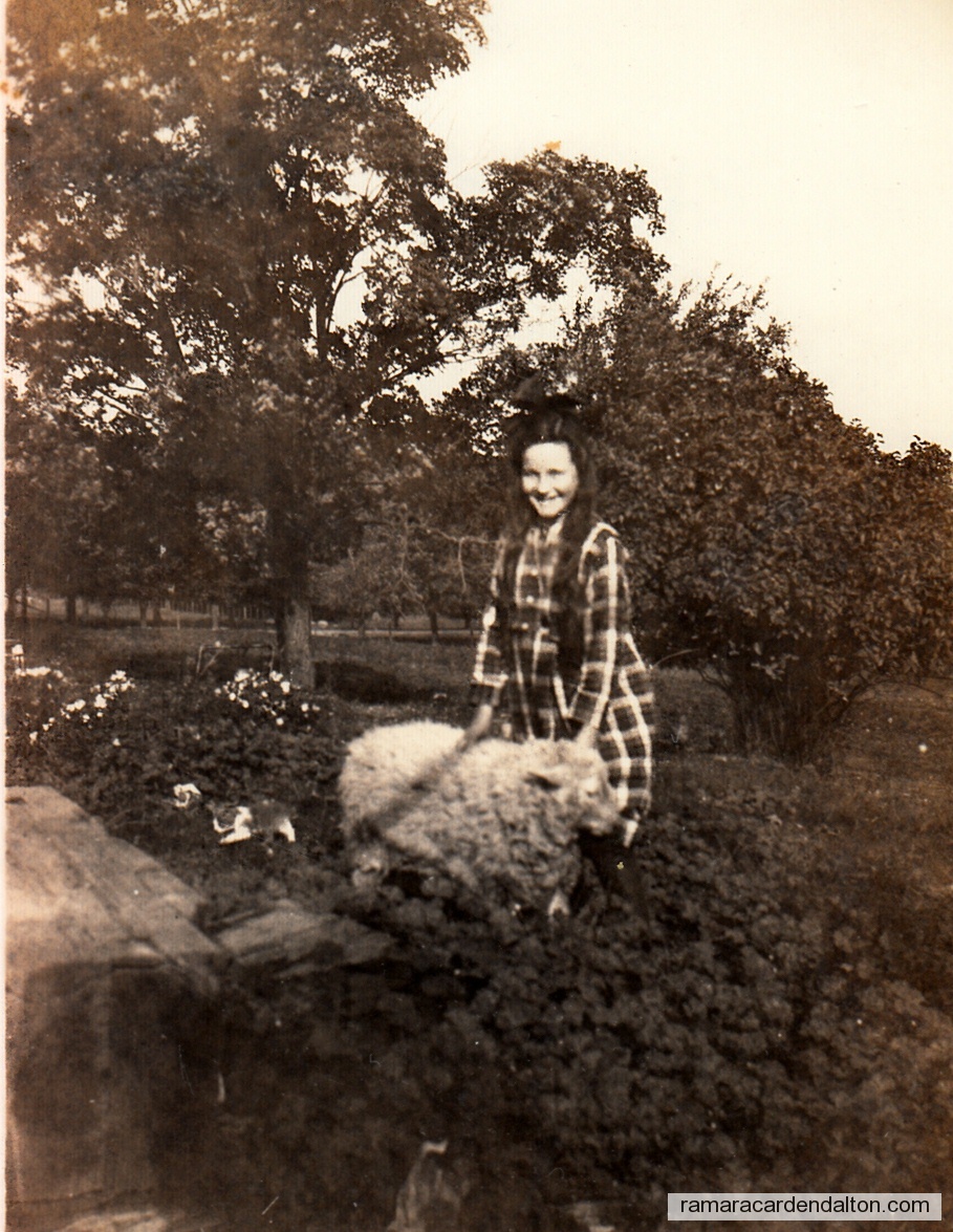 Photo of the day 2561 - Photo of the day