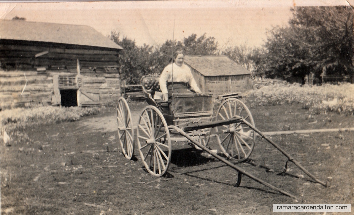 Photo of the day 2562 - Photo of the day