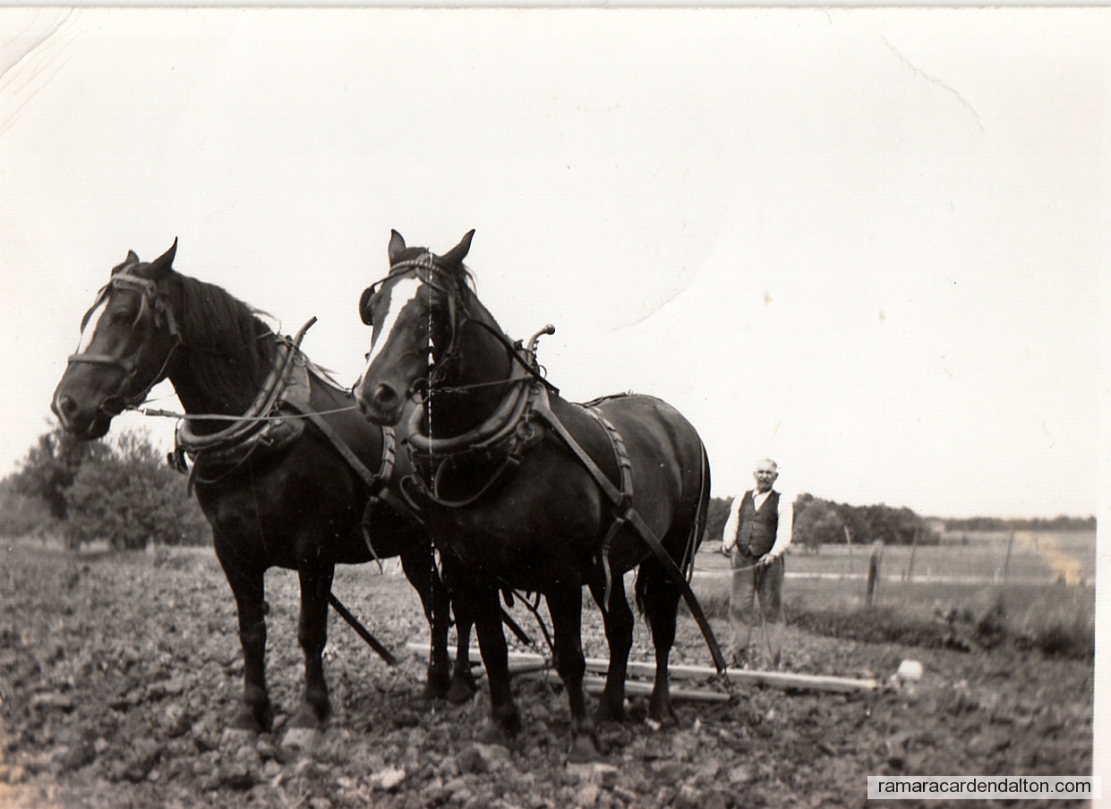 Photo of the day 2564 - Photo of the day