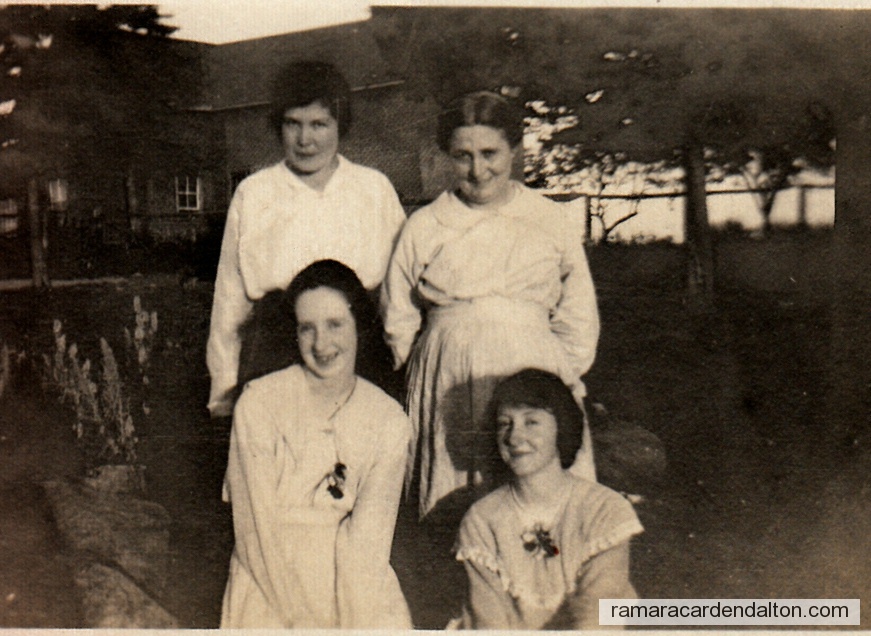 Photo of the day 2569 - Photo of the day