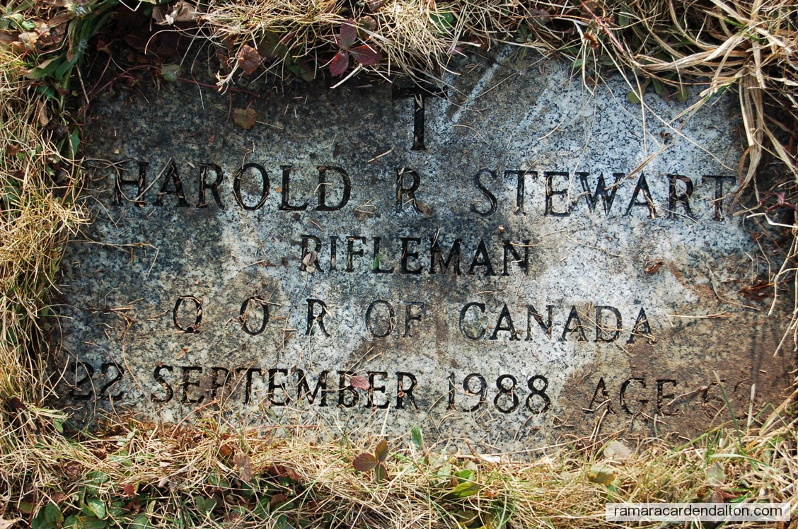 Photo of the day 2579 - Photo of the day