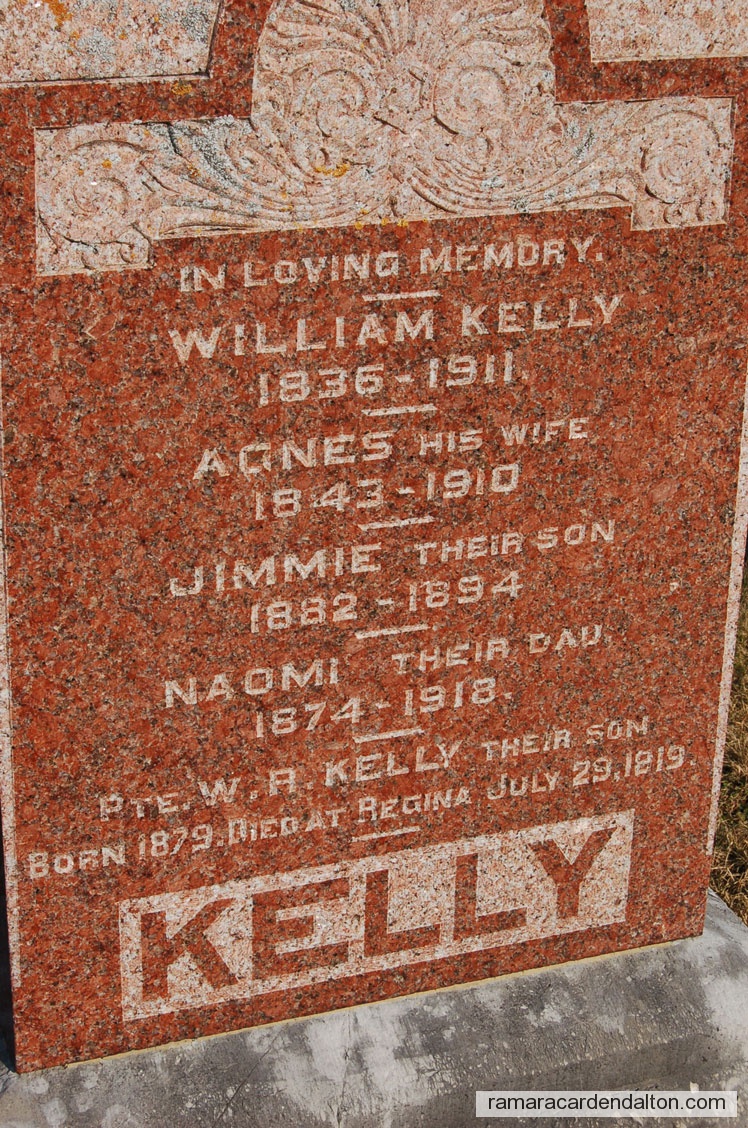 Photo of the day 2580 - Photo of the day