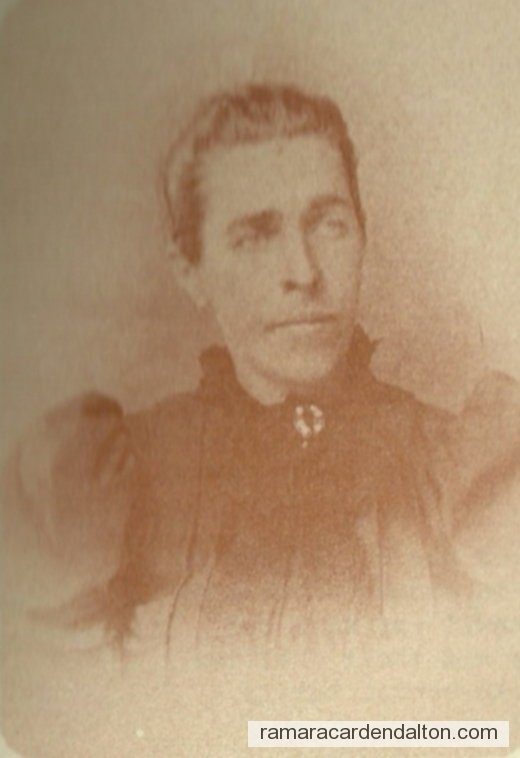 Photo of the day 2582 - Photo of the day