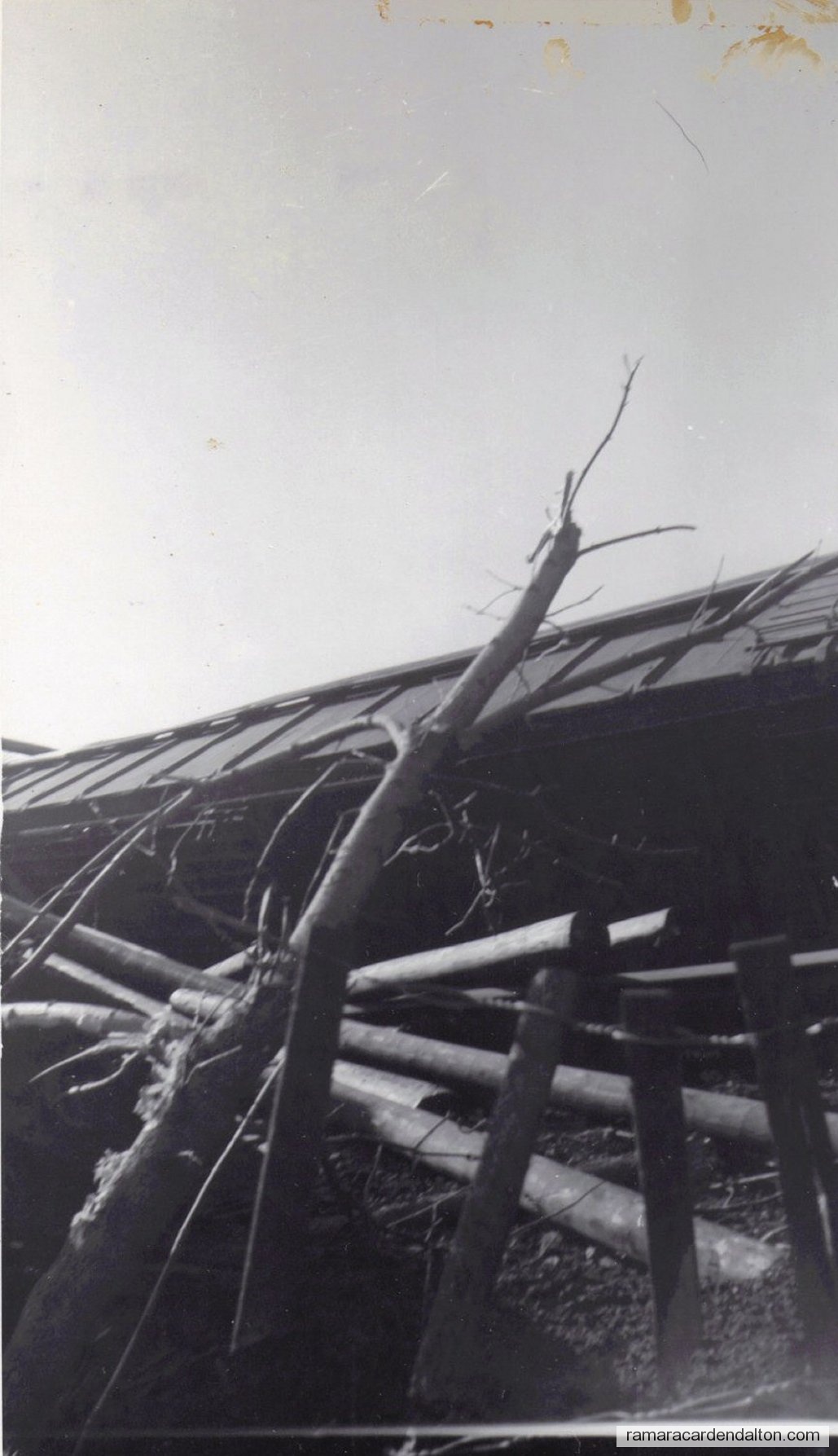 Photo of the day 2583 - Photo of the day