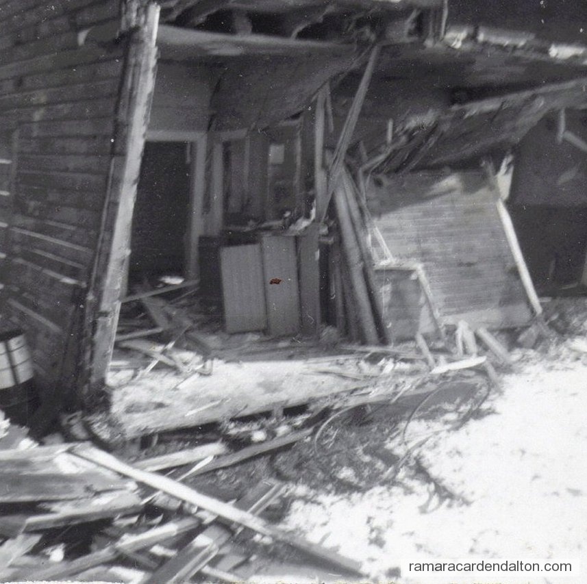 Photo of the day 2594 - Photo of the day