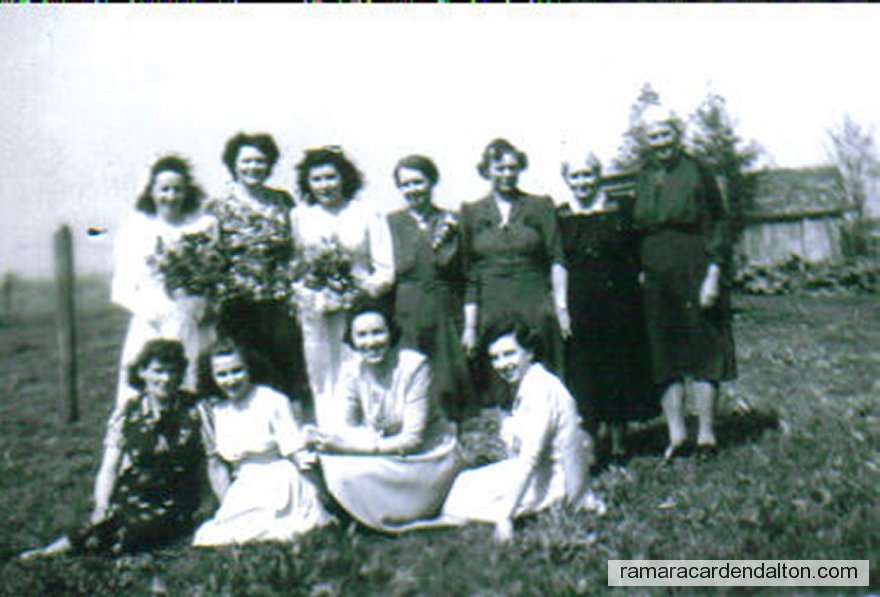 Photo of the day 2597 - Photo of the day