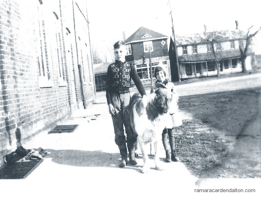 Photo of the day 2599 - Photo of the day