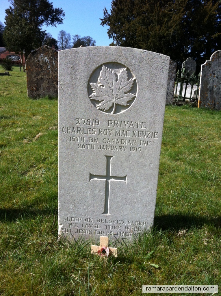 Photo of the day 2631 - Photo of the day